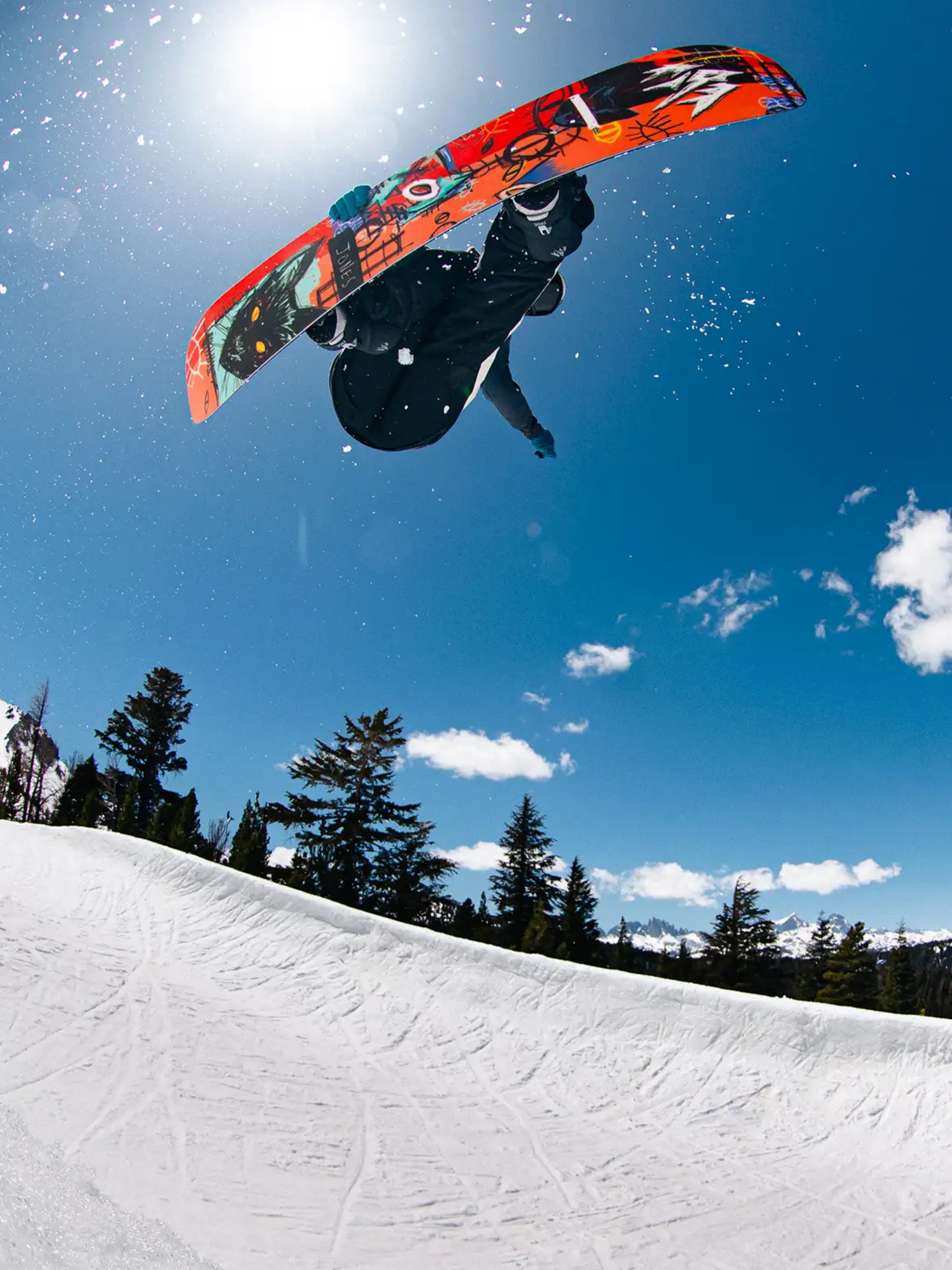 Jones Rally Cat Snowboard für Herren