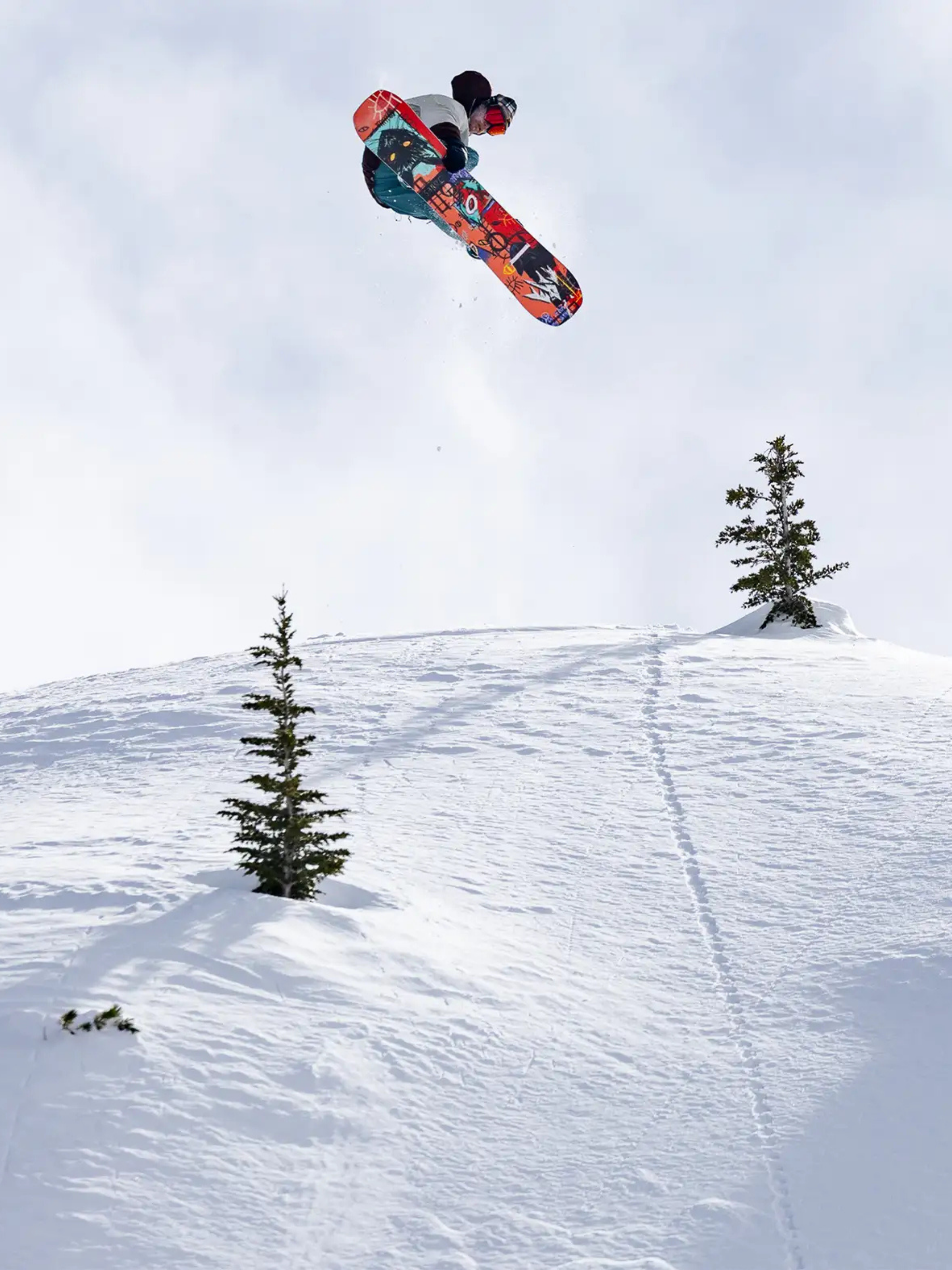 Jones Rally Cat Snowboard für Herren