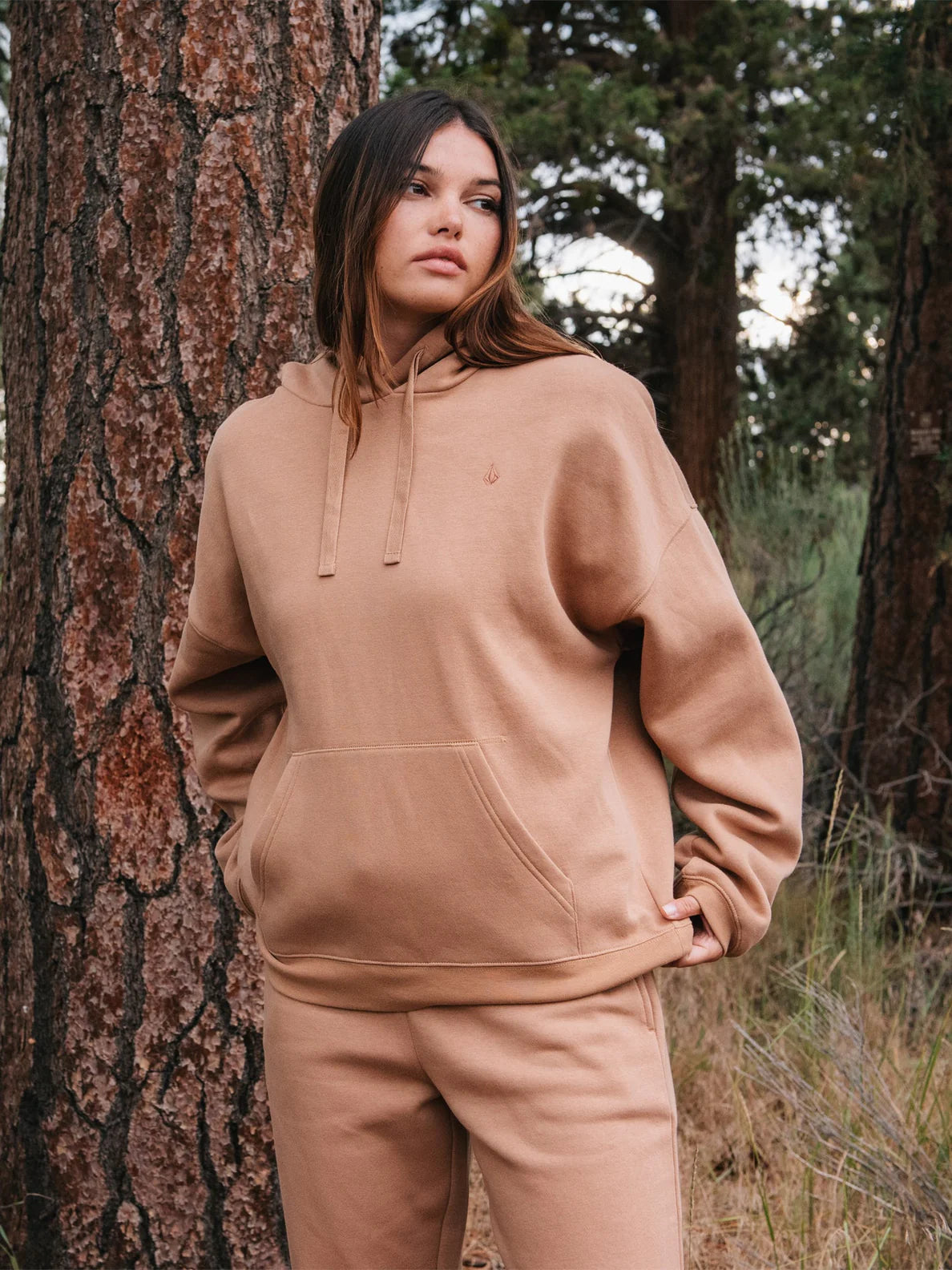 Felpa Volcom Stone Heart II - -Moka