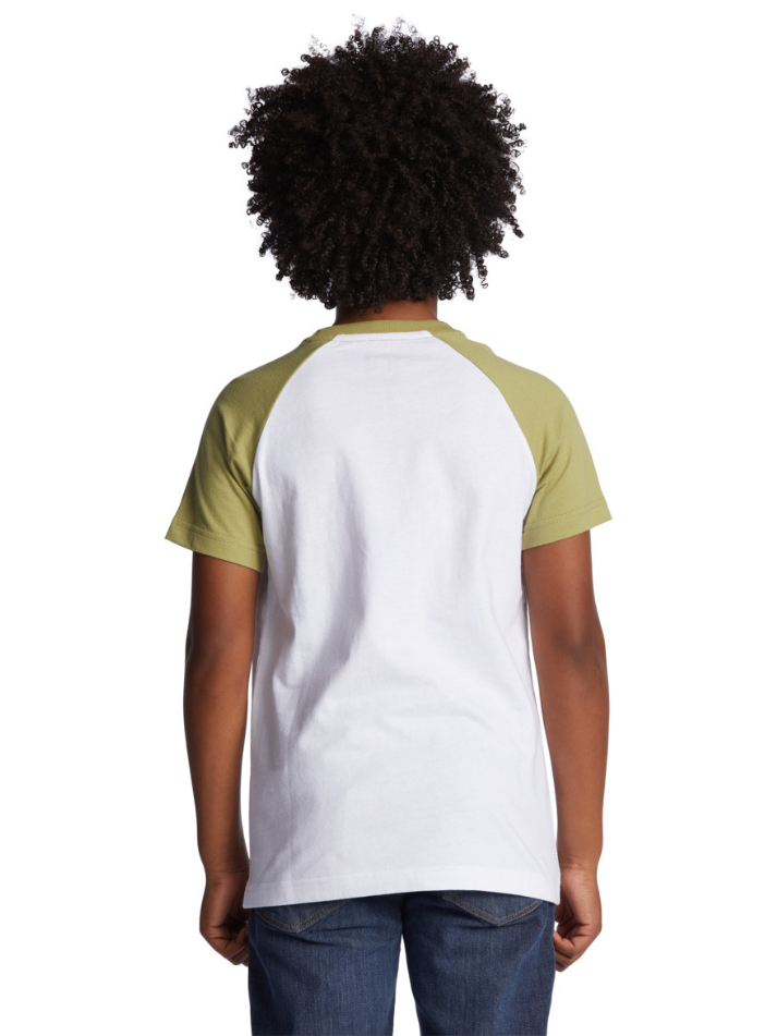 Dc Boy's T-Shirt Star Ranglan White Sage