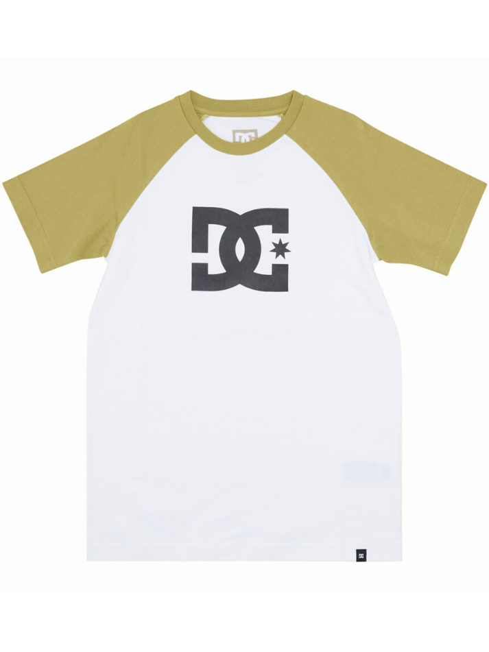 Dc Boy's T-Shirt Star Ranglan White Sage