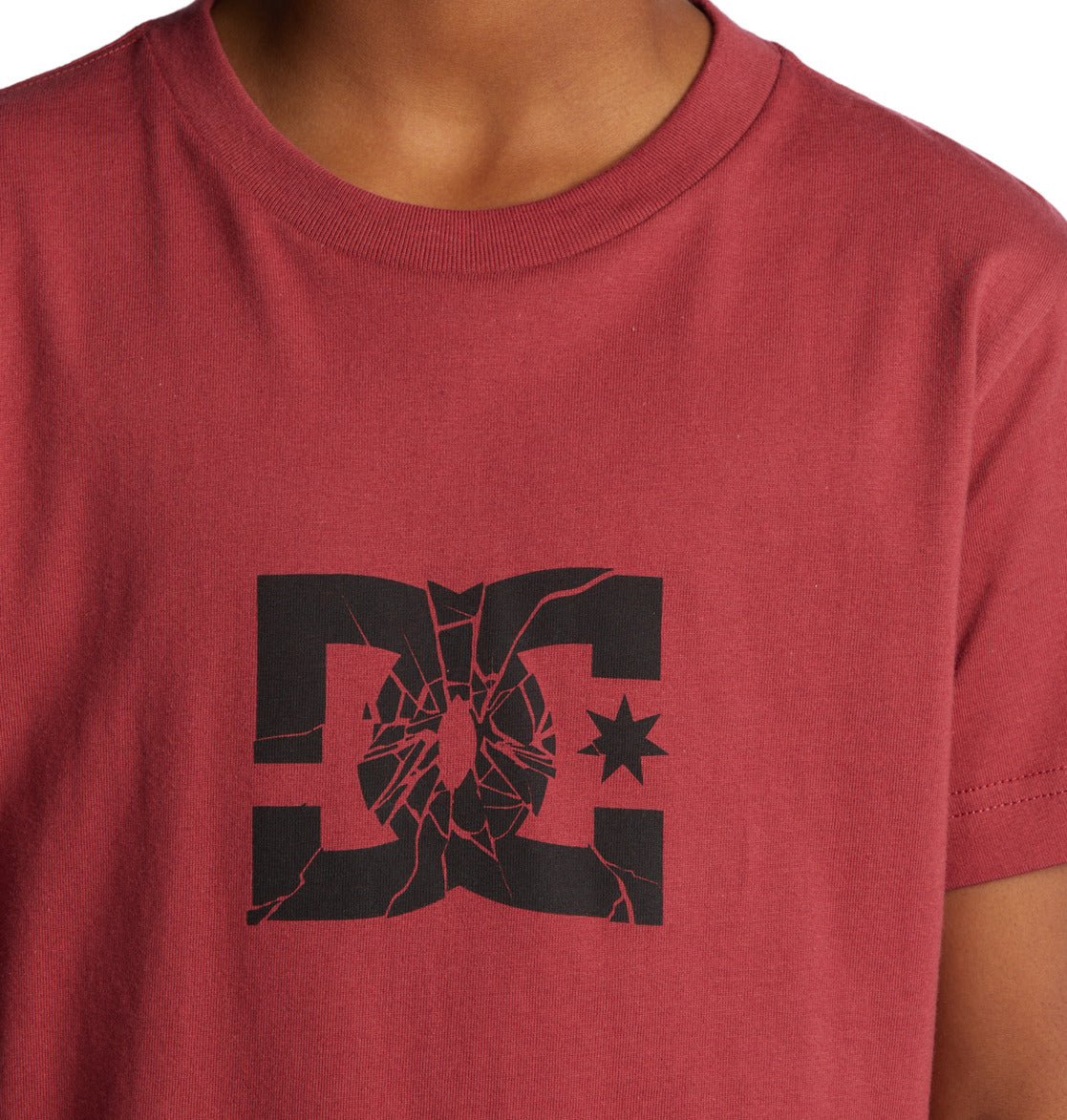 Dc Shoes Camiseta Niño Shatter Red Earth