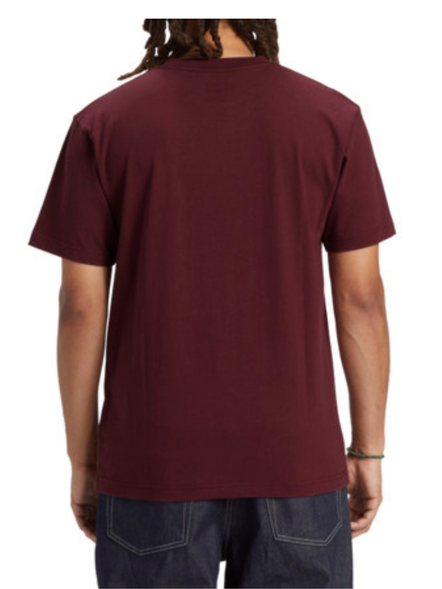 DC Shoes Rebuild short sleeve t-shirt - Tawny Port