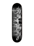 Censorship Ballet 8,2" Skateboard Deck