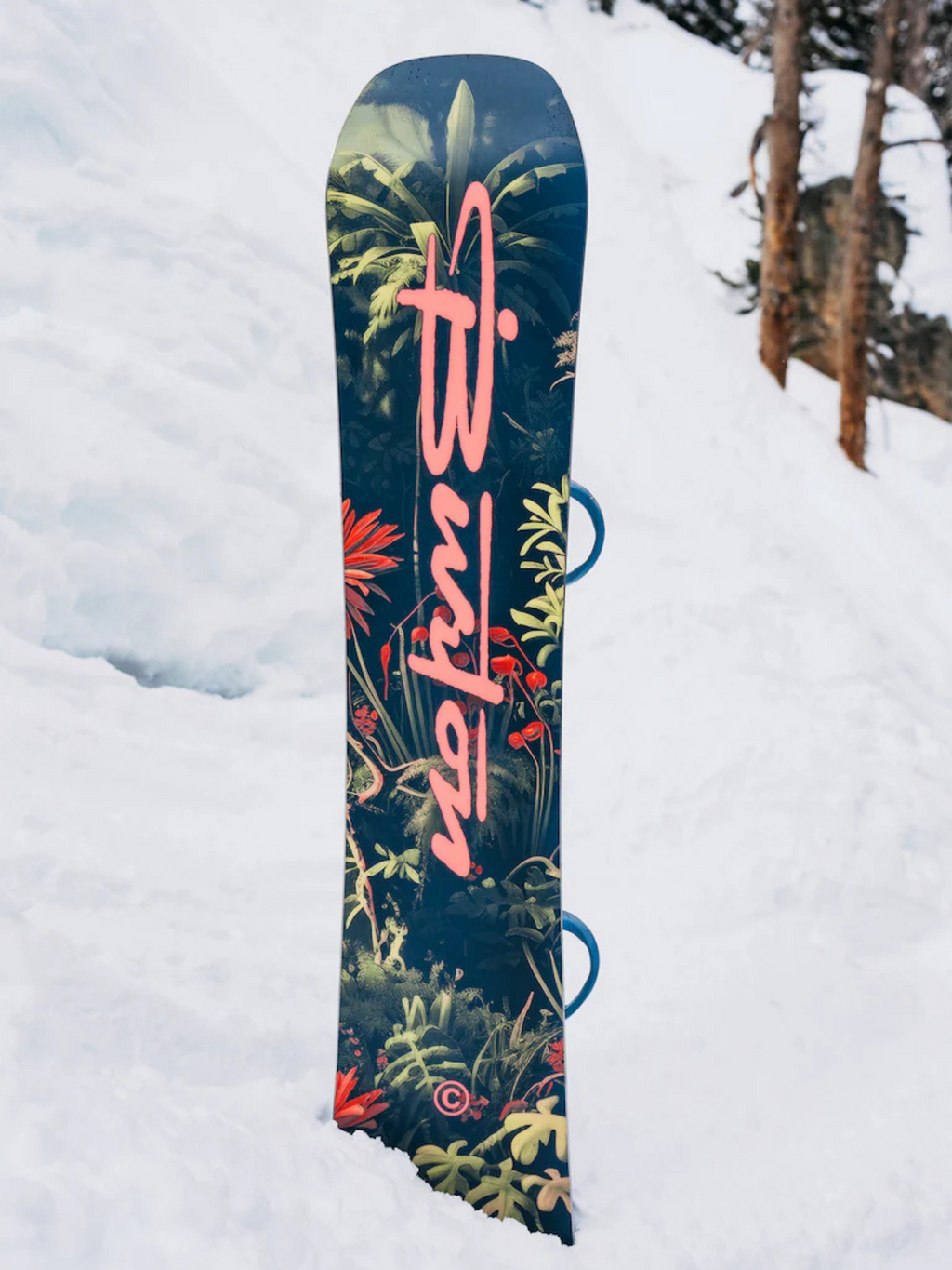 Snowboard Burton Custom Camber 25/26
