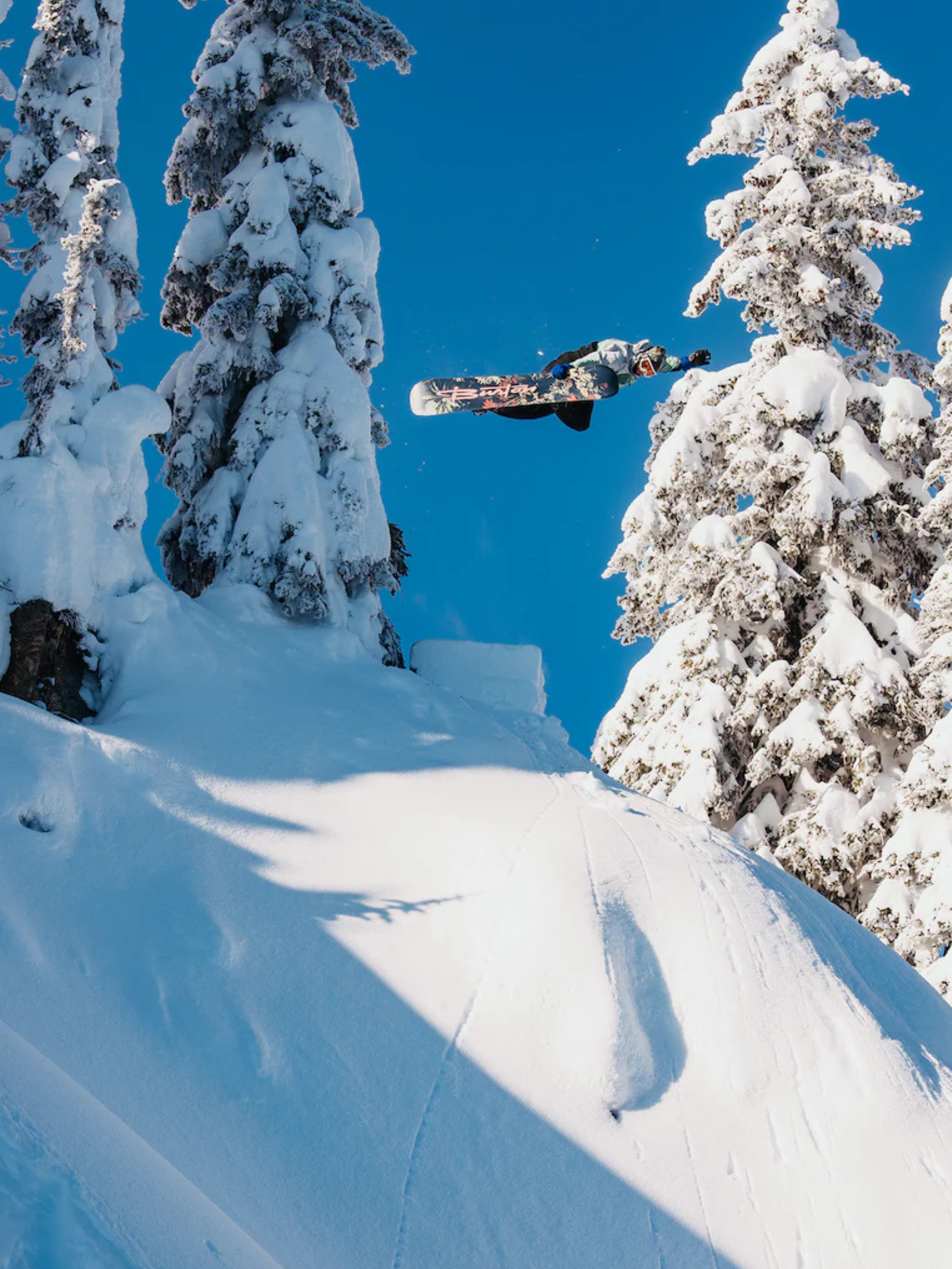 Snowboard Burton Custom Camber 25/26