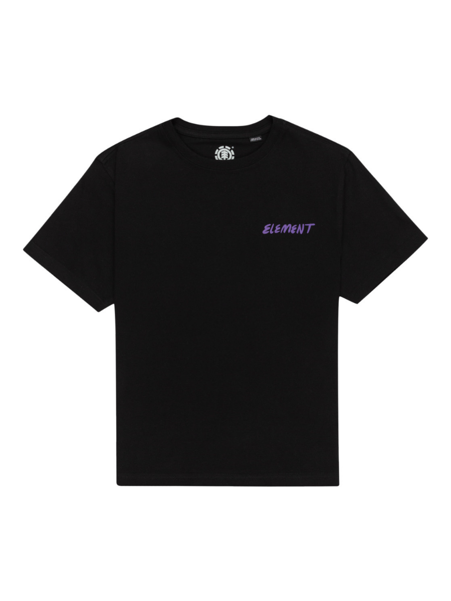 Camiseta niño Element Skateboards Jurassic - Flint Black