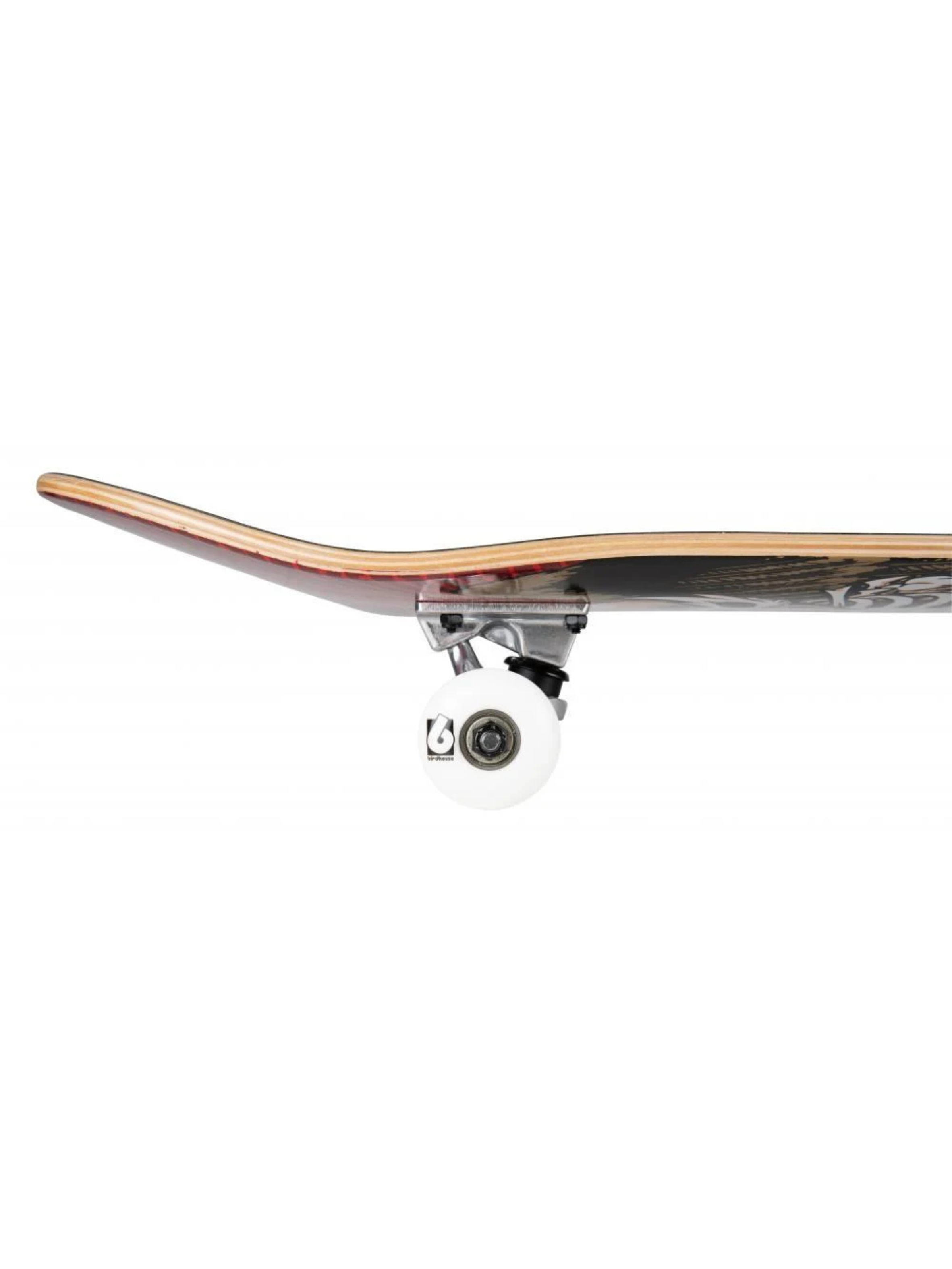 Birdhouse Stage 1 TH Icon Red Complete Skateboard 8.0"