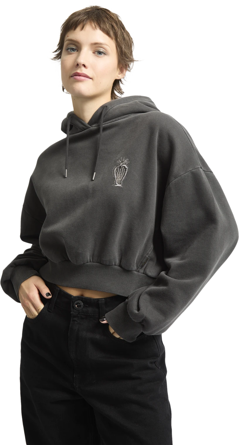 Volcom FA Vaderetro sudadera con capucha mujer detail 4 | Vintage Black