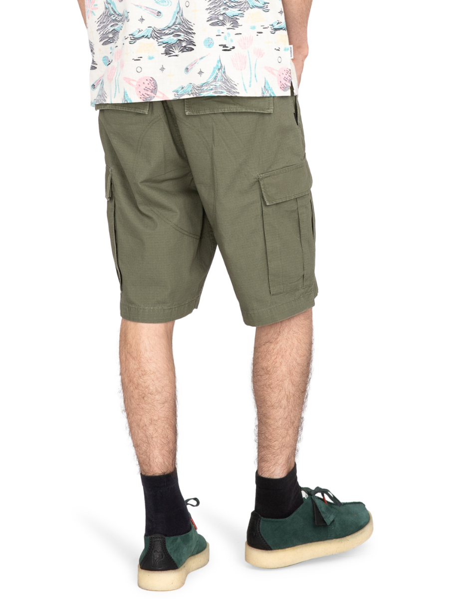 Element Legion cargo shorts - Beetle | All men's pants | Best selling products | Collection_Zalando | elements | Men's shorts | surfdevils.com