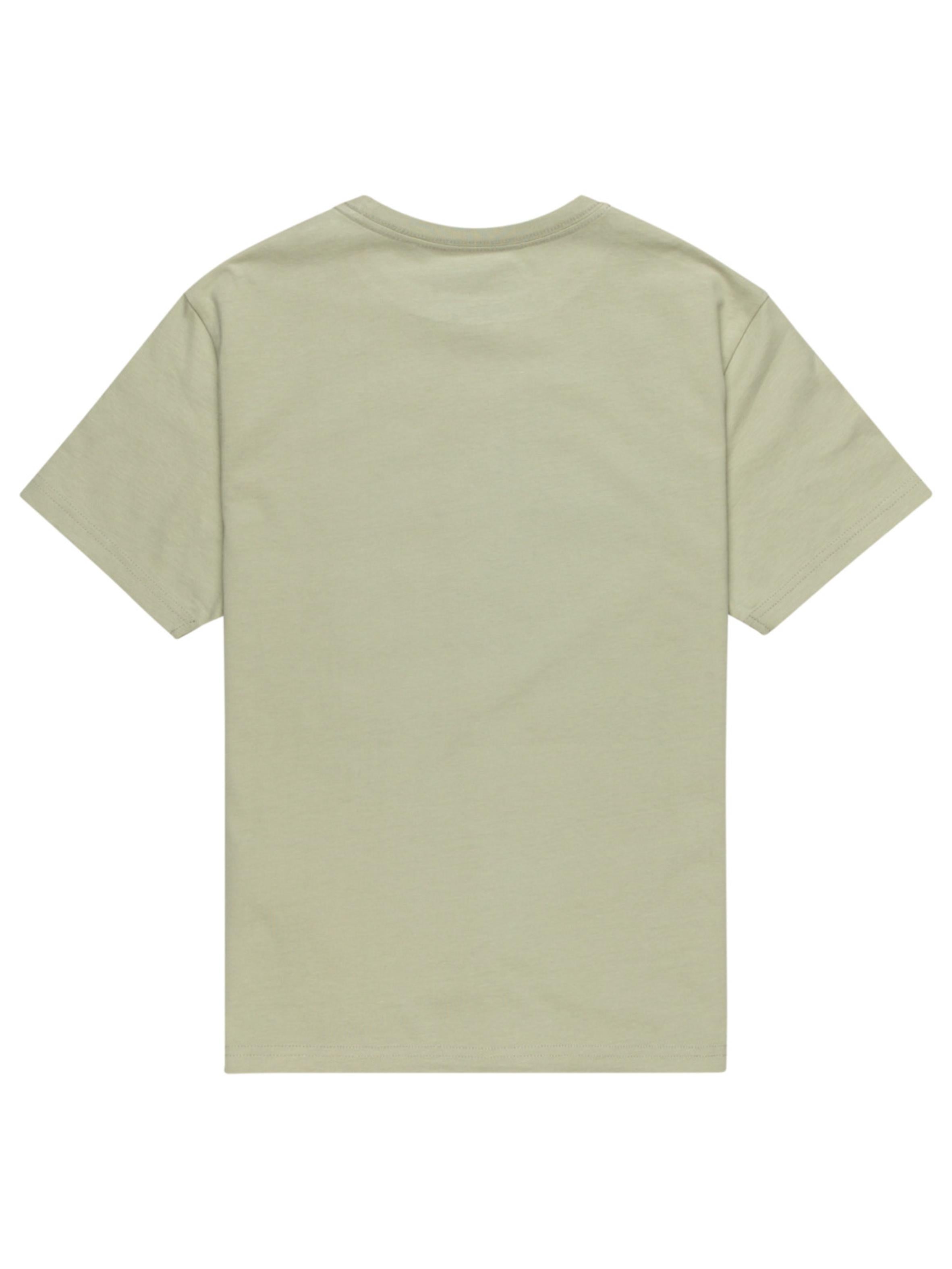 Element Timber Breaktime Boy's T-shirt - Tea