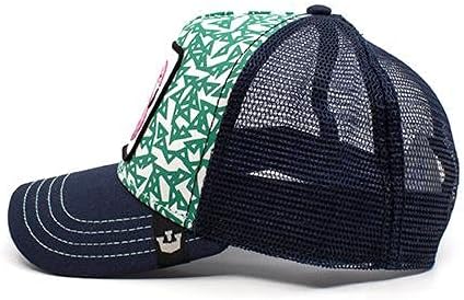 Casquette The Floater Goorin Bros - Bleu