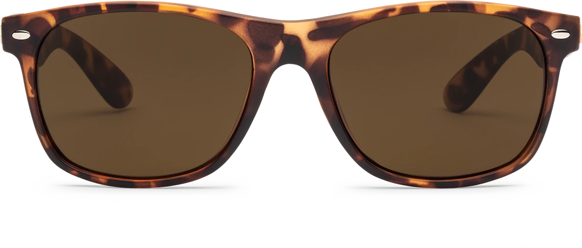 Volcom Fourty6 Matte Tort Bronze sunglasses hombre detail 1 | Matte Tort