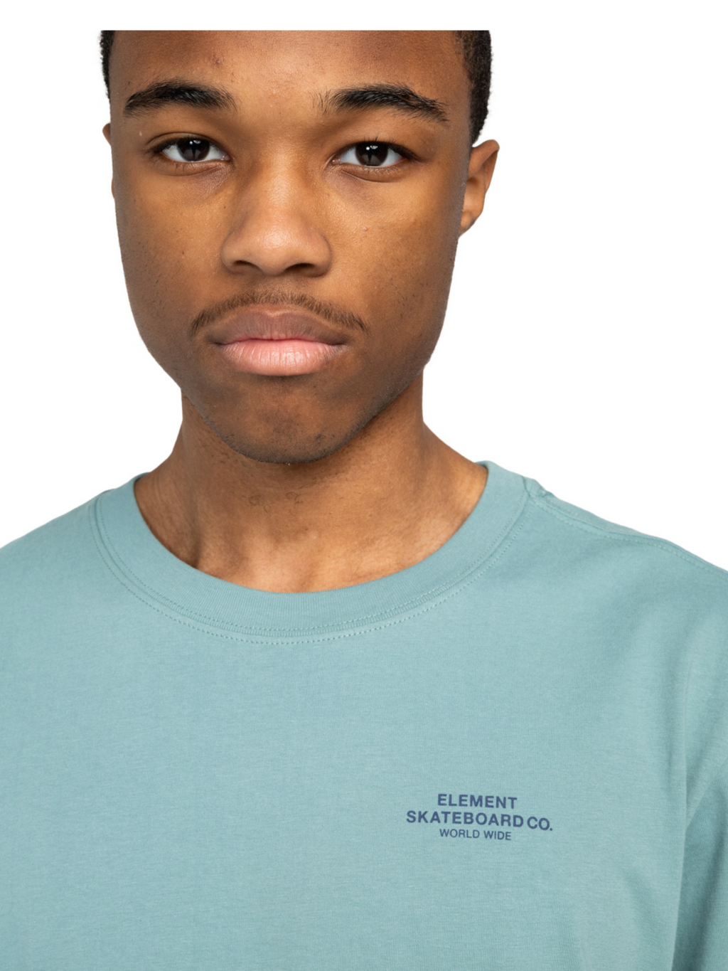 Camiseta Element Skateboard Co - Trellis