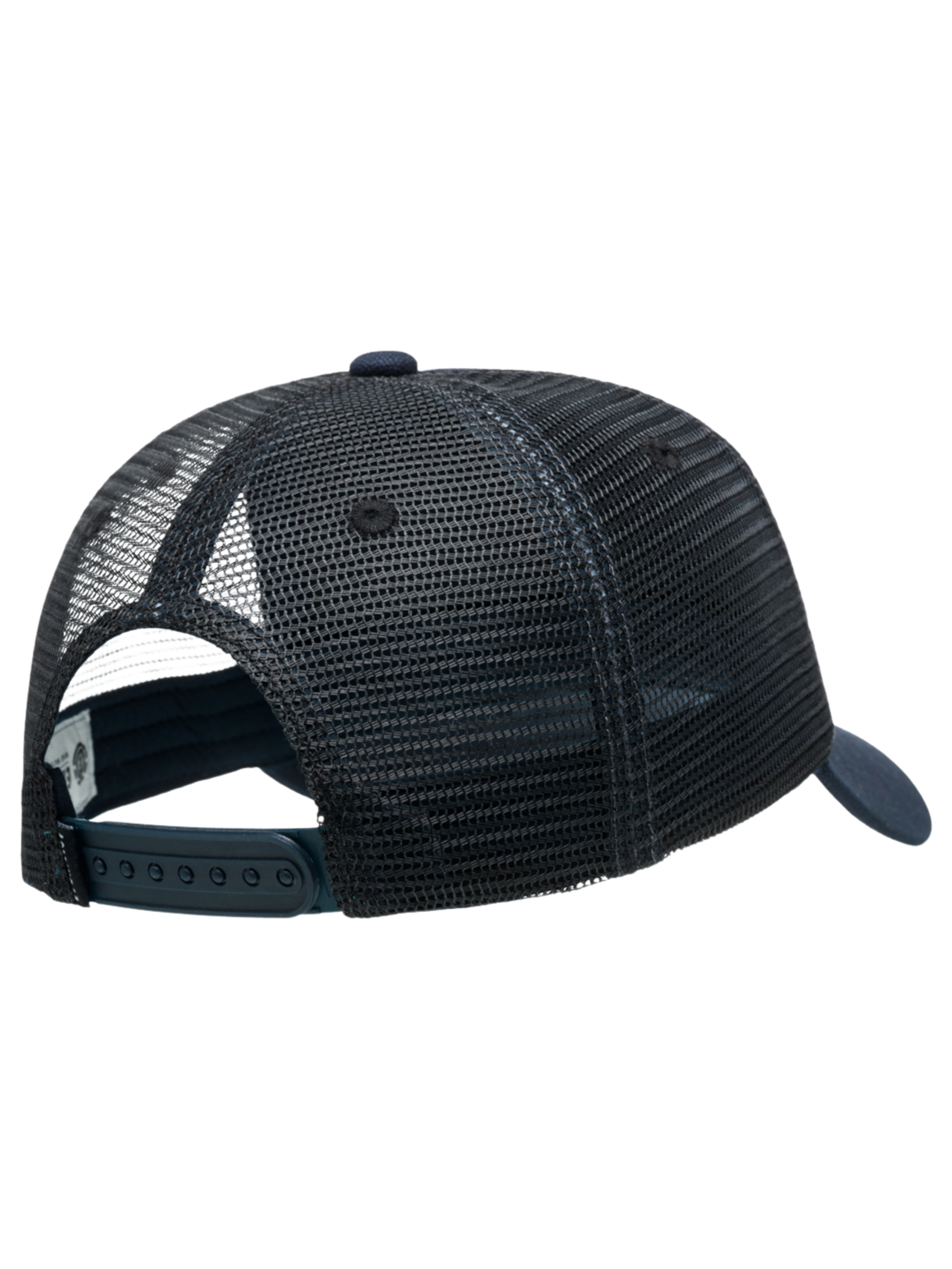 Gorra Element Skateboards Mount Mesh - Eclipse Navy