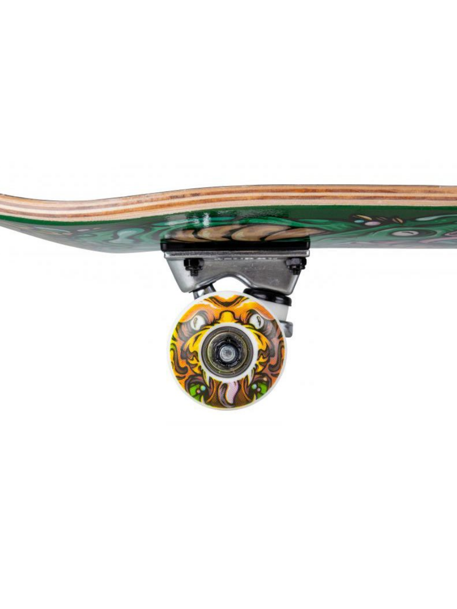 Skateboards complets Skate Rocket Wild Pileup - 7.5" | Boutique de skate | Tables, Essieux, Roues,... | Collection_Zalando | Nouveaux produits | Patins complets | Produits les plus récents | Produits les plus vendus | surfdevils.com