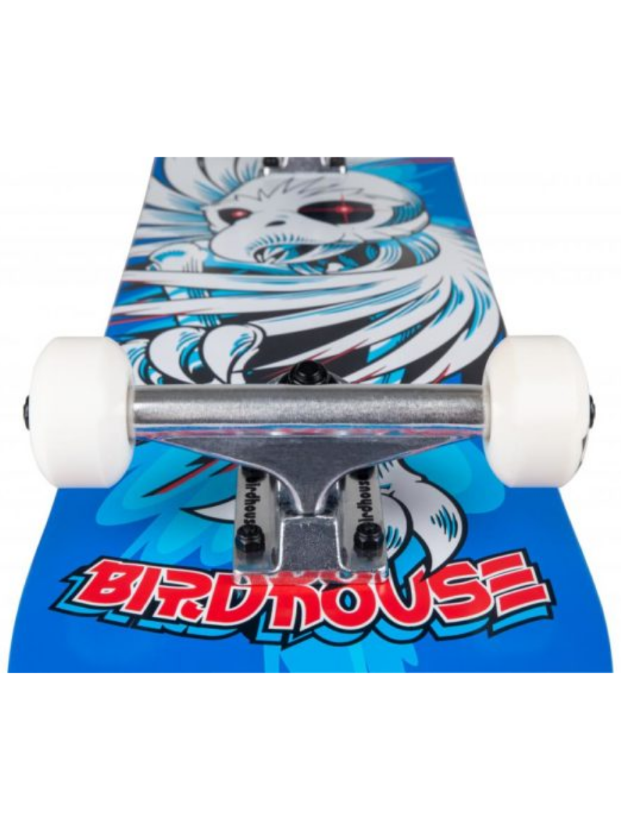 Skate Completo Birdhouse Stage 1 Hawk Spiral Blue 7.75"