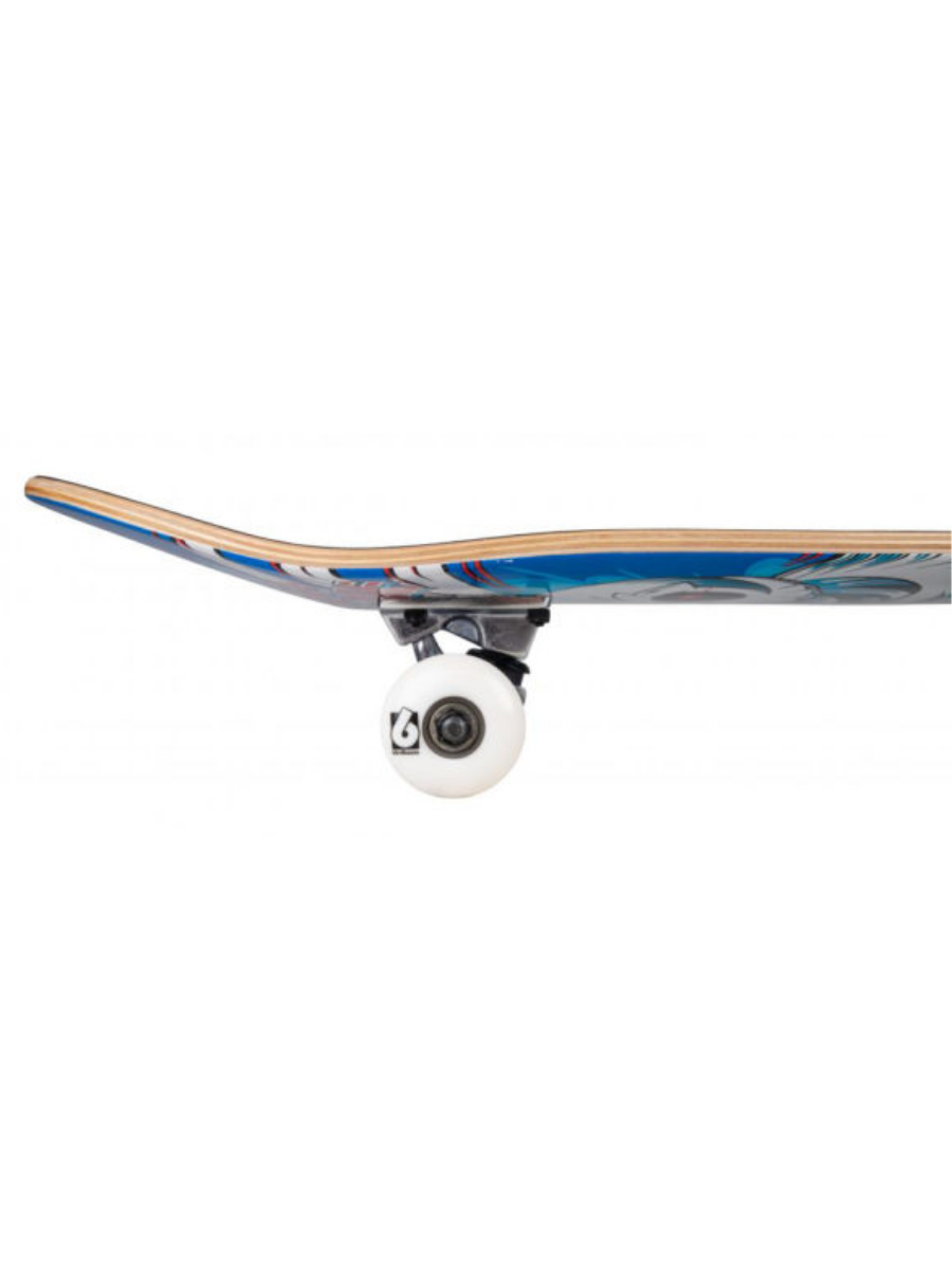 Skate Completo Birdhouse Stage 1 Hawk Spiral Blue 7.75"