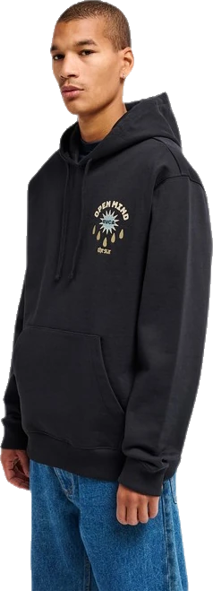Rvca The Star Sudadera con capucha sudadera hombre detail 3 | Negro