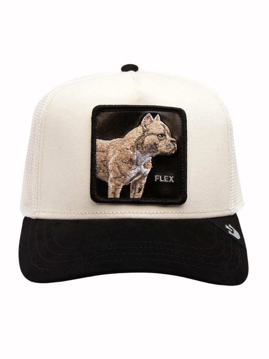 Casquette Trucker The Suede Pitbull (Flex) Goorin Bros - Crème