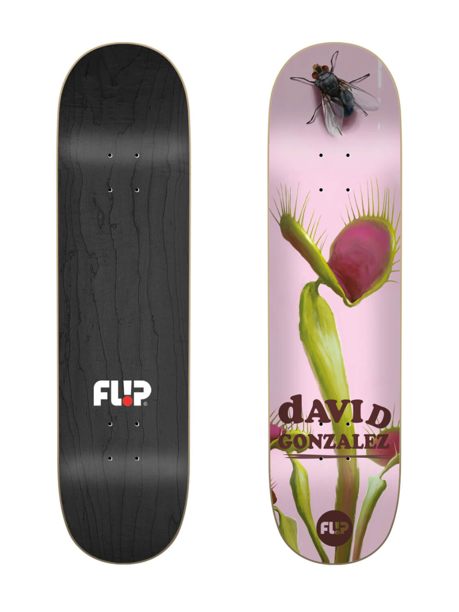 Planche de skateboard Flip Gonzalez Flower Power 8.0″
