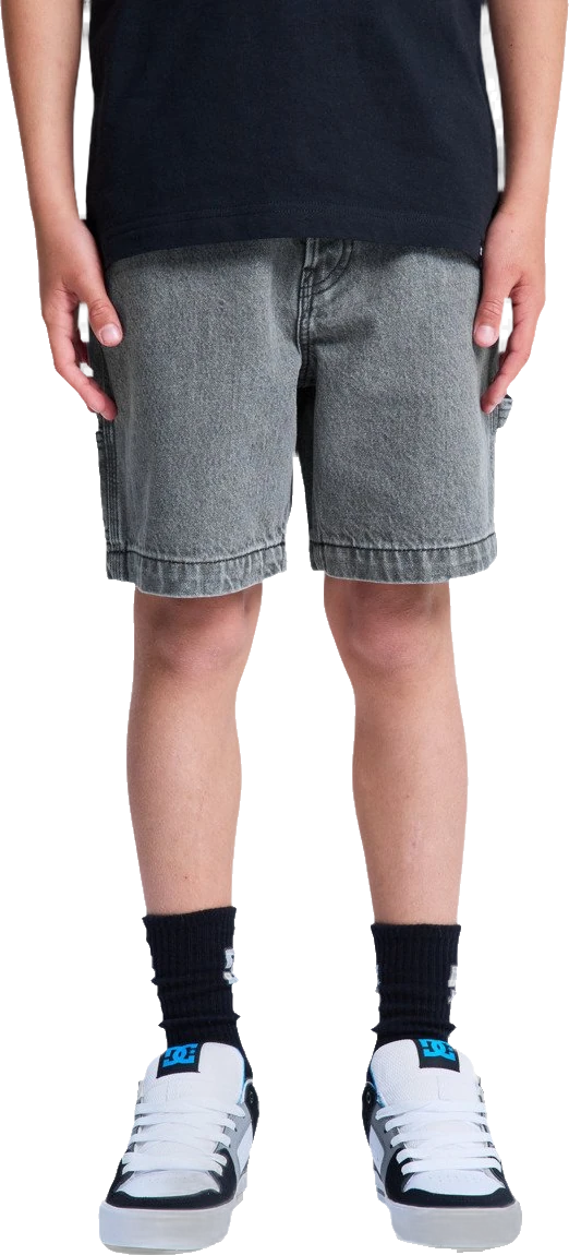 DC Shoes DC Carpenter Baggy denim short | Gris