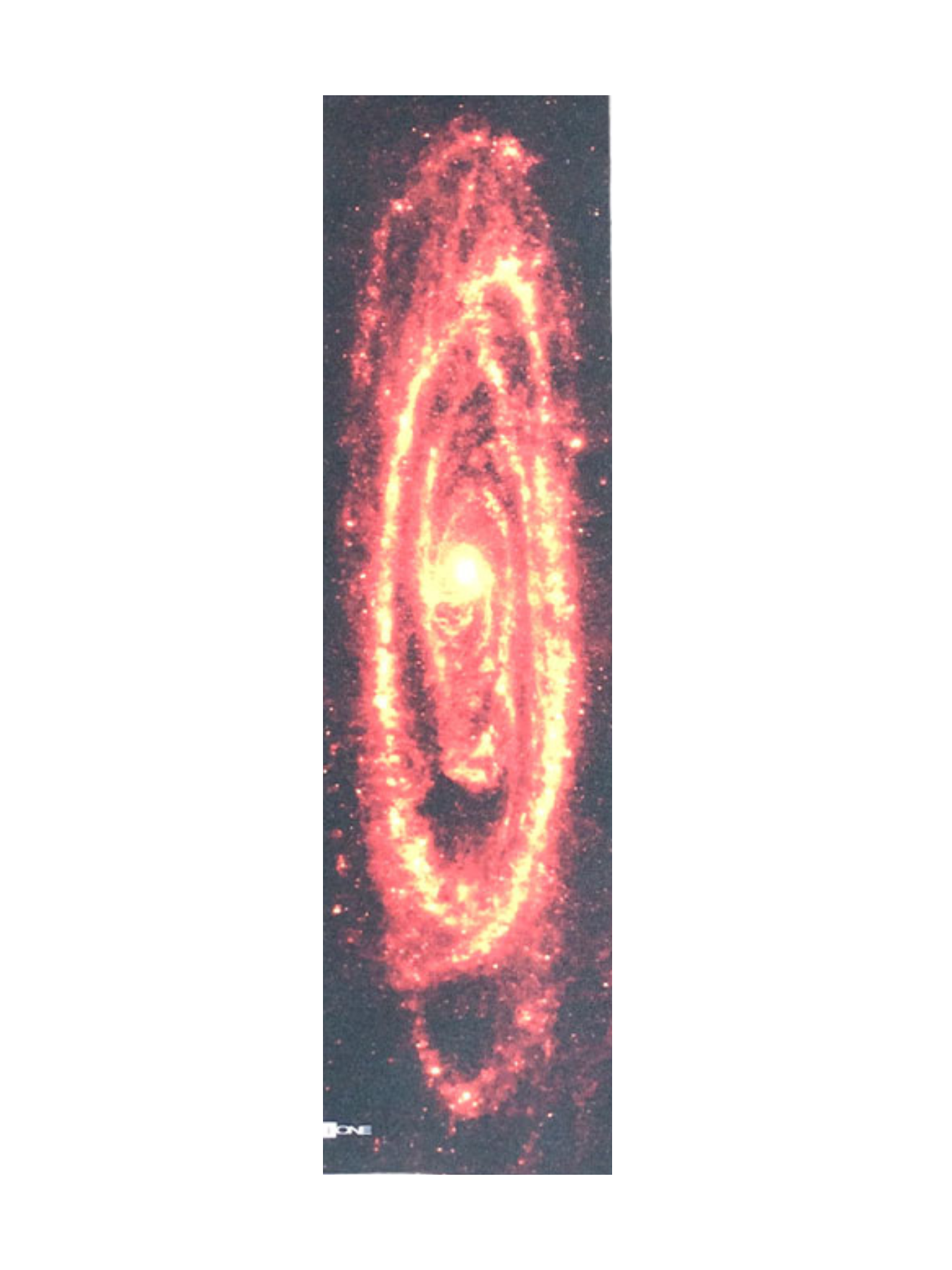 All One Andromeda Red skateboard griptape
