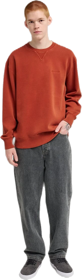 Element Lowcase Pigment CR Sudadera sudadera hombre detail 3 | Naranja