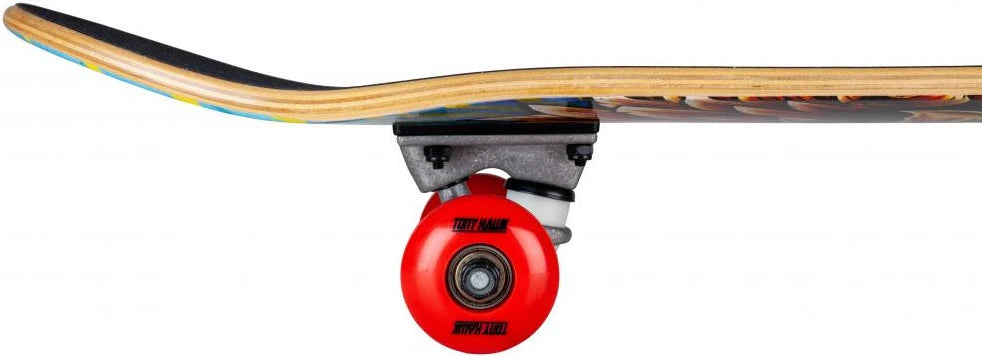 Tony Hawk Tony Hawk 180 Golden Hawk Complete 7.75" skates completos detail 3 | Golden Hawk Multi
