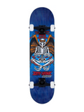 Skate Completo Birdhouse Stage 3 Hawk Birdman 8"