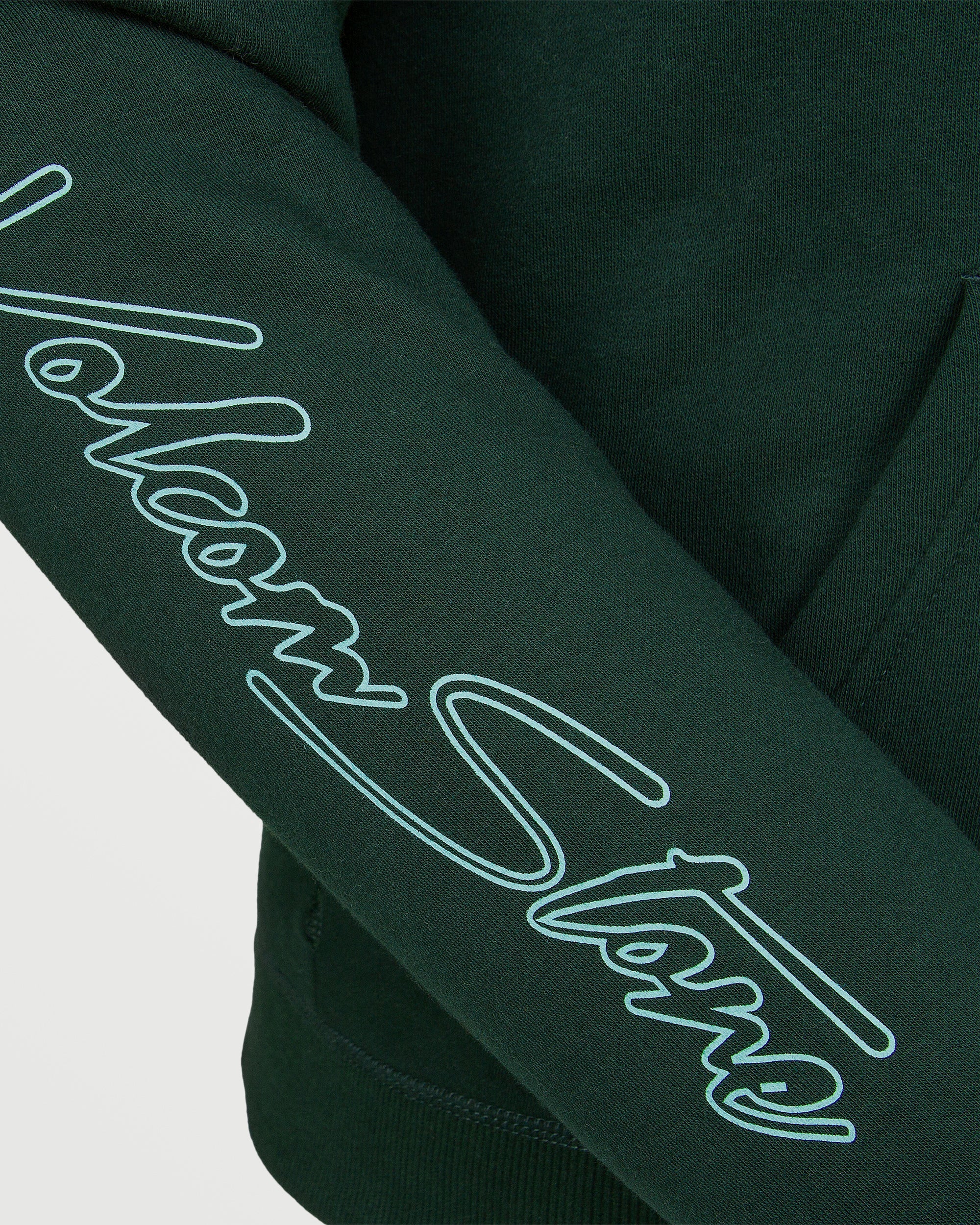 Moletom com capuz feminino Essential da Volcom - Scarab