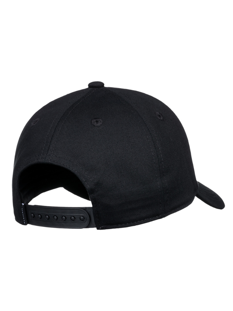 Casquette Element Treelogo 2.0 Flint noire