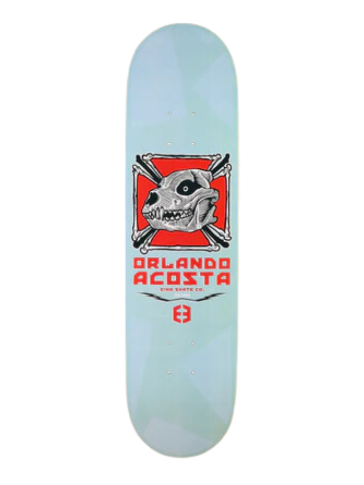 Eina PRESA CANARIO Consiglio Orlando Acosta 8.00