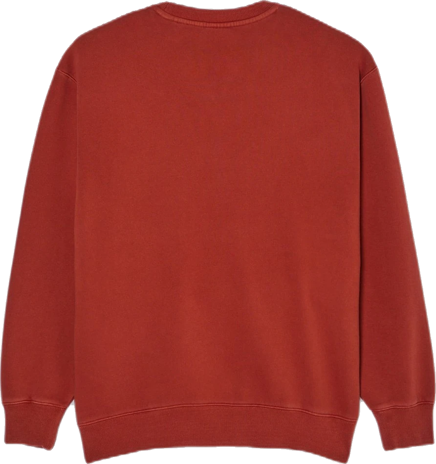 Element Lowcase Pigment CR Sudadera sudadera hombre detail 5 | Naranja