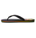 Chanclas DC Shoes Spray Rasta