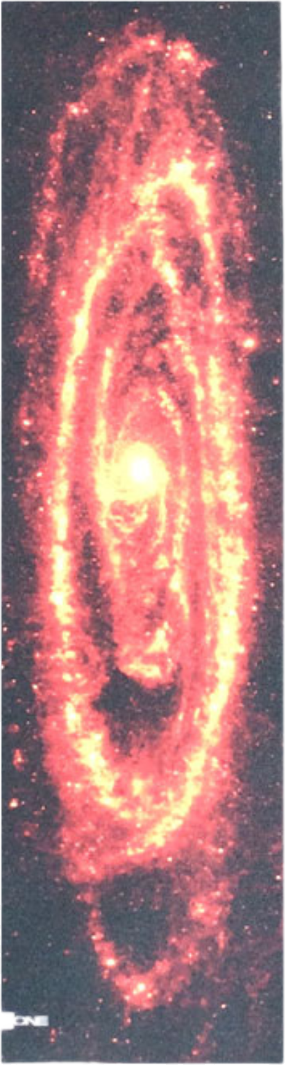 All One Andromeda Red Skateboard-Griptape