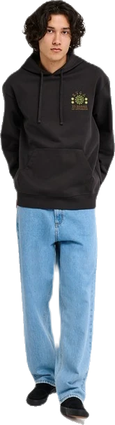 Rvca Iris Sudadera con capucha sudadera hombre detail 3 | Negro