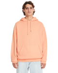 Volcom Single Stone Tw Hoodie - Pale Peach