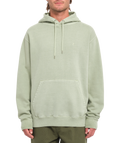 Sweatshirt com capuz Volcom Single Stone Pw - Chá Verde