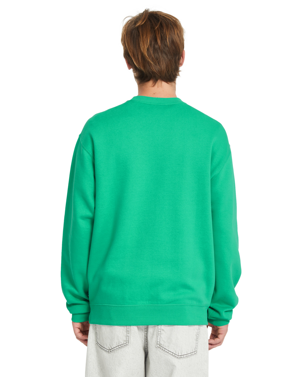 Sudadera Volcom Watanite Crew - Mint