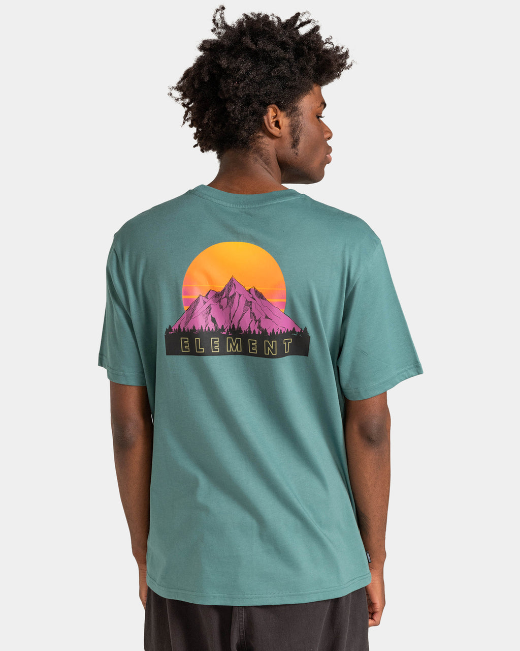 Camiseta Element Skateboards Holis North Atlantic