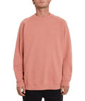 Volcom | Volcom Freeleven Crew Fleece Desert Sand  | Men, Ropa, Sudaderas, Sudaderas sin capucha | 
