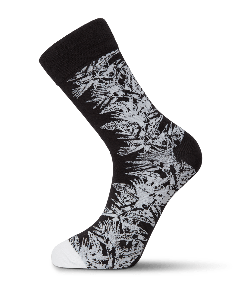 Volcom | Volcom True Sock Pr White Combo  | Accesorios, Calcetines, Men, Unisex | 