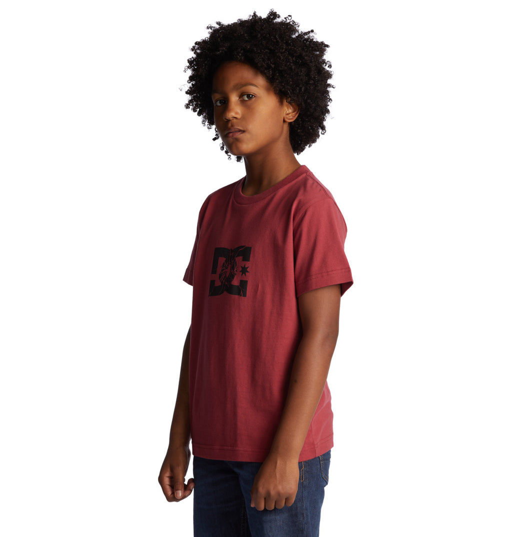 Dc Shoes Camiseta Niño Shatter Red Earth